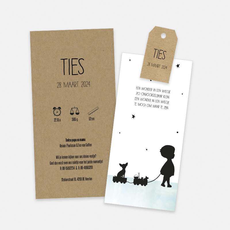 Lortye Geboortjekaartje 045 Ties