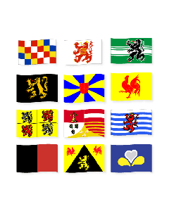 Provincievlaggen België