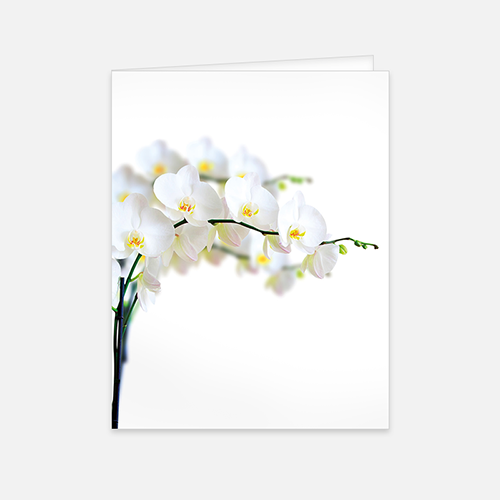  Lortye Rouw Gedachtenisprentjes Orchidee
